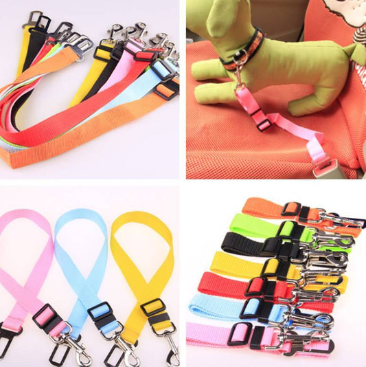 Fixed Strap Polyester Dog Leash: Durable, Comfortable & Reliable